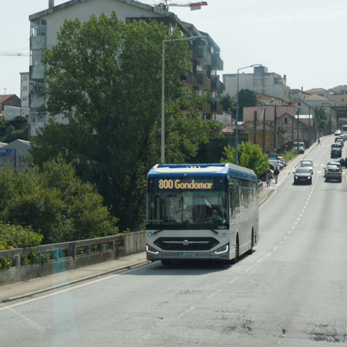 autocarro linha 800
