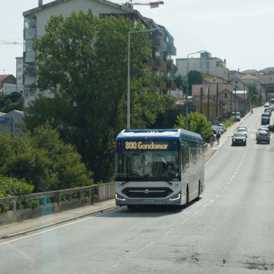 autocarro linha 800